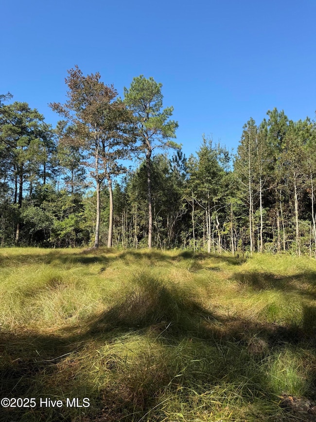 Off Earl Price Rd, Deep Run, NC 28525 - photo 5