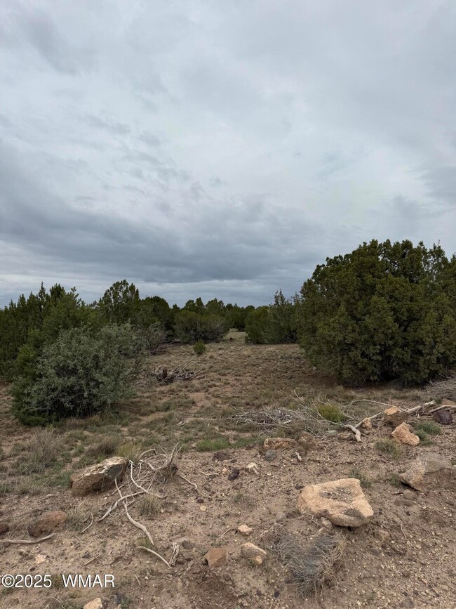 55 Ponderosa Dr, Concho, AZ 85924 - photo 2