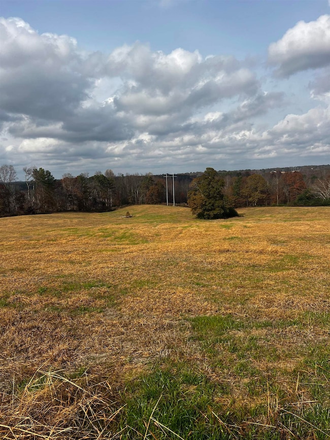 00 County Road 77, Arley, AL 35541 - photo 3