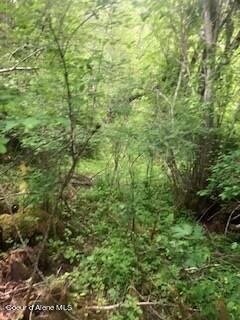 0 Nna Blk 4 Lot 5 Unit 1 unit 23-9936, Bayview, ID 83803 - photo 2