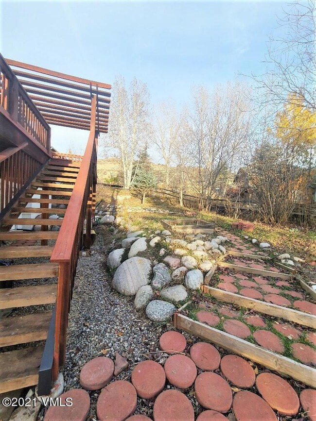 Back Yard 2