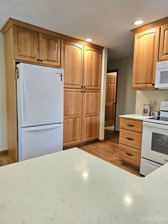 9157 Co Rd 513 Rd, Rapid River, MI 49878 - photo 4