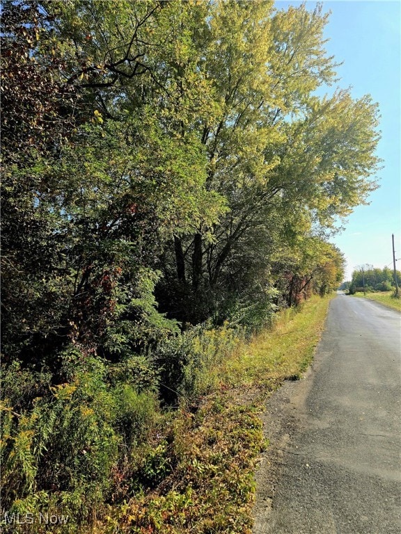 10745 Leffingwell Rd, North Benton, OH 44449 - photo 7