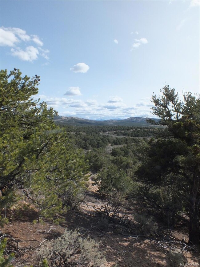 0 Santana Rd, Blanca, CO 81133 - photo 4