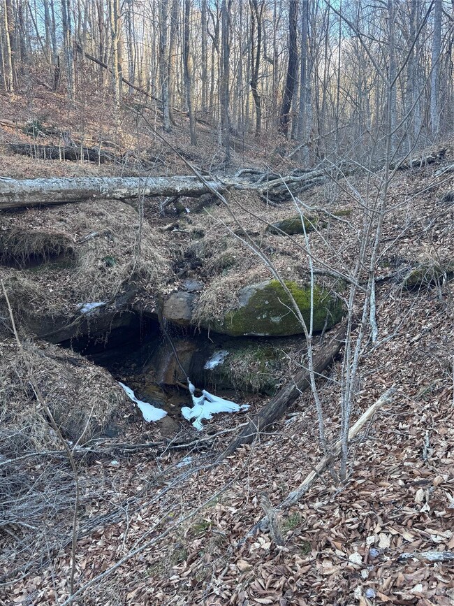 0 Creekside Cir unit 126 CAR4215345, Rutherfordton, NC 28139 - photo 4