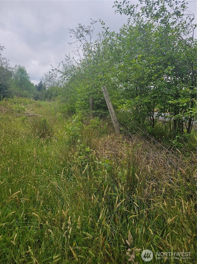 565 Oyler Rd, Ethel, WA 98542 - photo 4