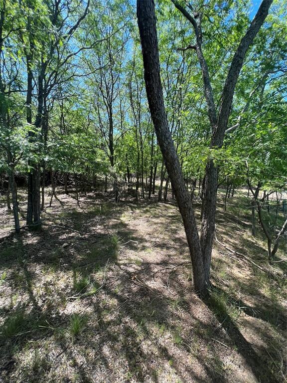 23N Crest Rd, Weatherford, TX 76087 - photo 5