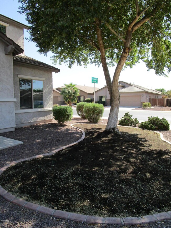 Curbing & Freshly Planted Winter Grass
