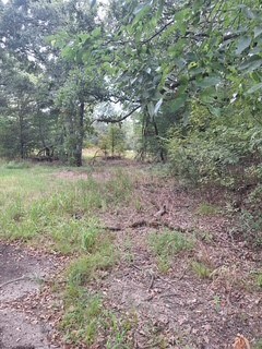 291 Rs County Road 4455, Point, TX 75472 - photo 6