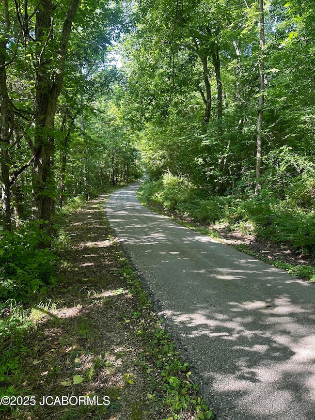 11 Copperhead Rd, Eldon, MO 65026 - photo 2