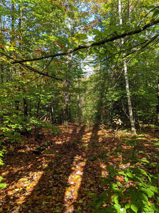 0 Dean Mountain Rd unit 202124233, Hadley, NY 12835 - photo 3