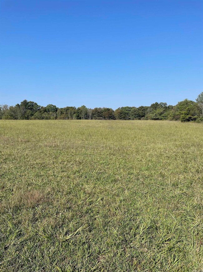 0 Shady Grove Rd unit 25037910, Leslie, AR 72645 - photo 2