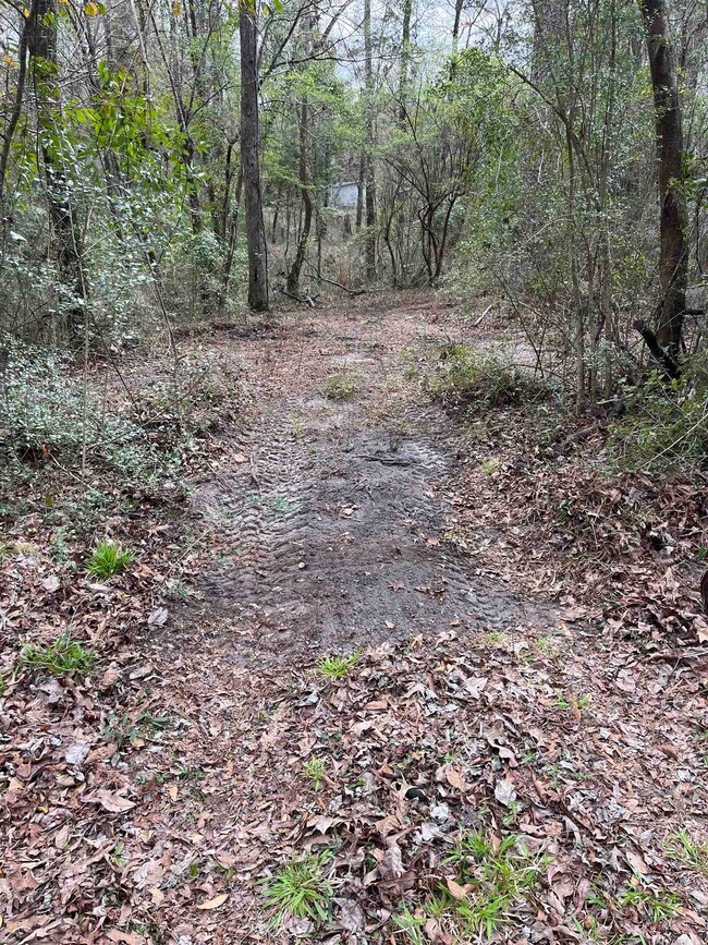 23 Emily Ln, Crawfordville, FL 32327 - photo 2