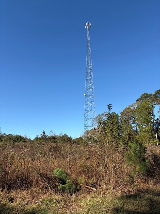 0 Rural unit 21124258, Athens, LA 71003 - photo 3