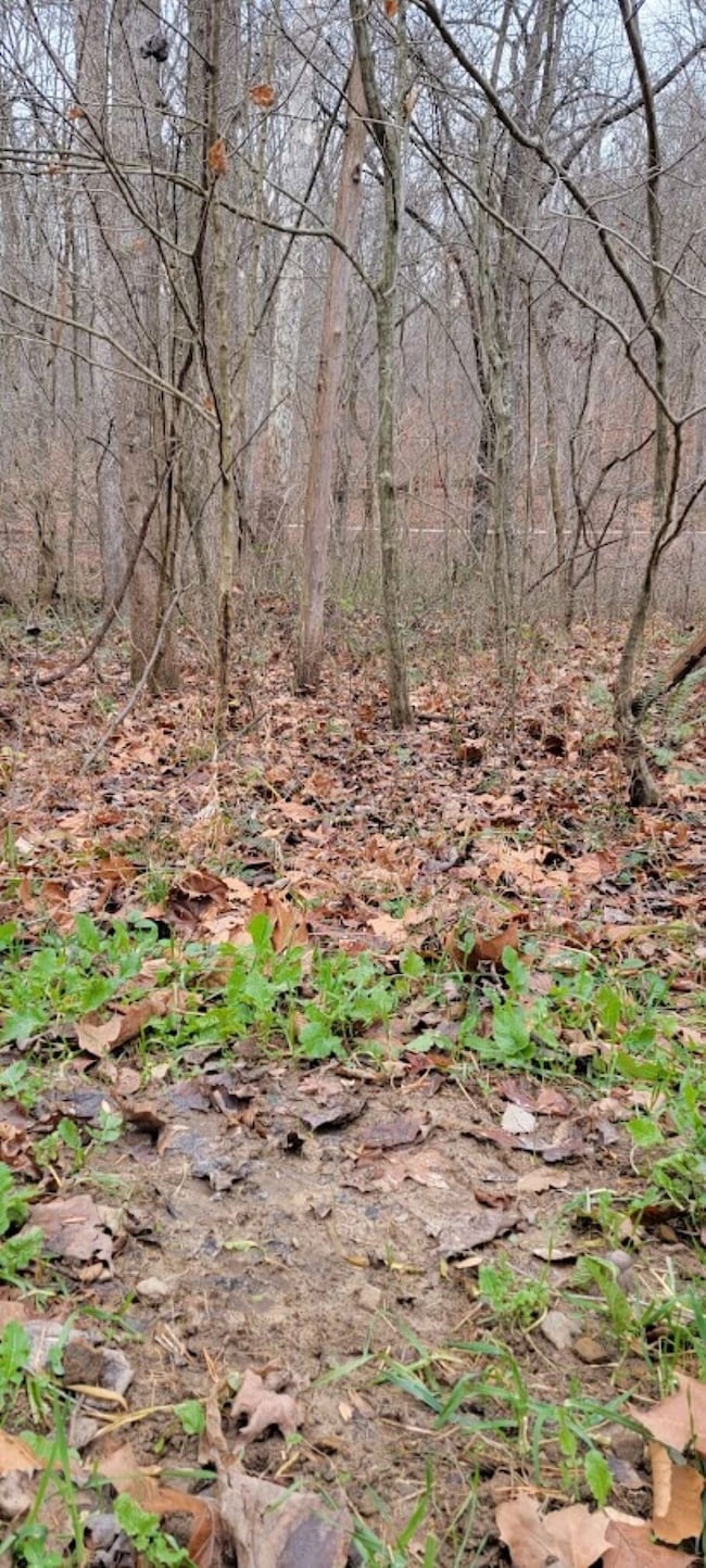 0 Blanton Rd unit 25681933, Mitchell, IN 47446 - photo 4