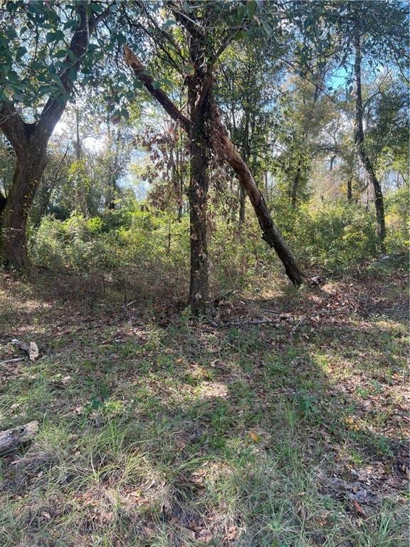 Lot 265 Arbor Dr, Robert, LA 70455 - photo 2