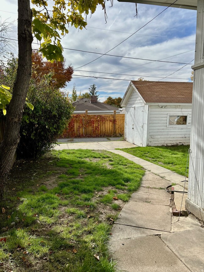 View of yard featuring a shed