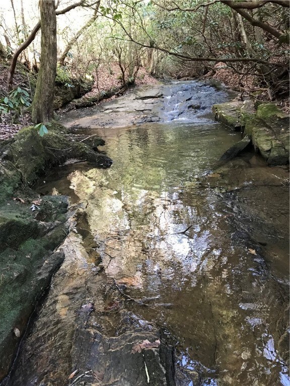 Flowing river
