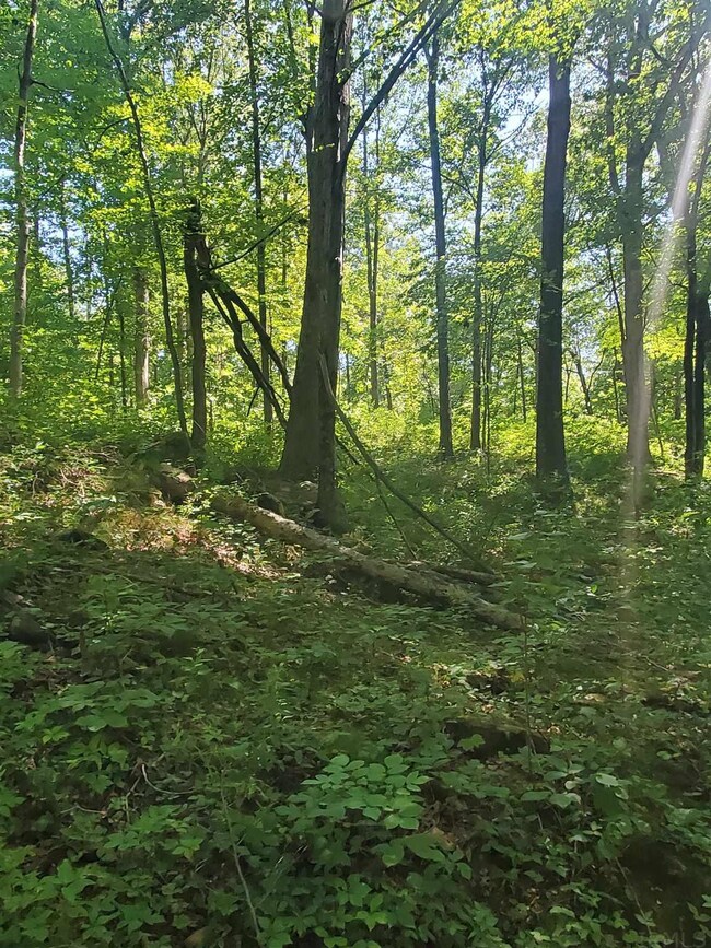 0 E 300 N, Otterbein, IN 47970 - photo 4