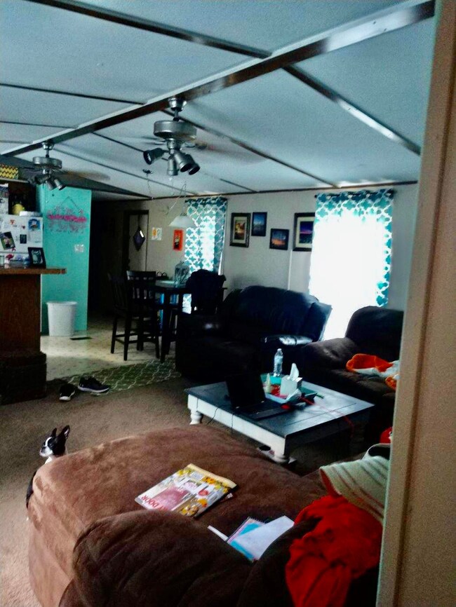 912 Hill St, Jellico, TN 37762 - photo 4