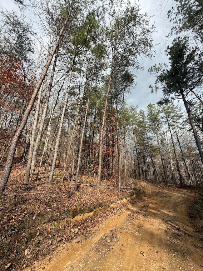 Lot 2 Parksville Rd, Benton, TN 37307 - photo 3