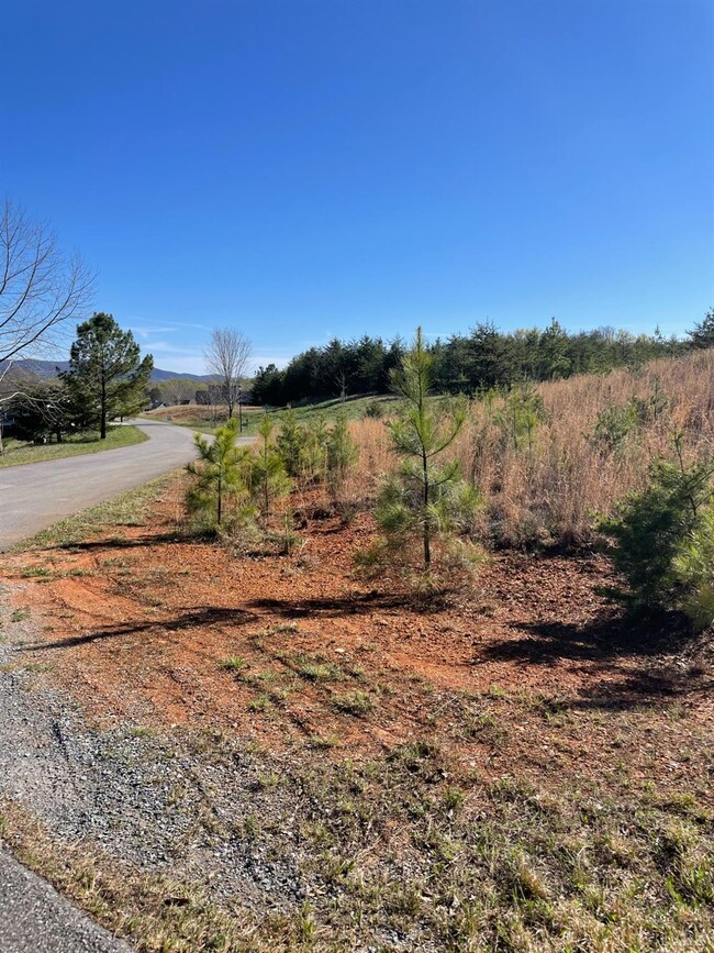 69 Barrows Hill Dr, Huddleston, VA 24104 - photo 4