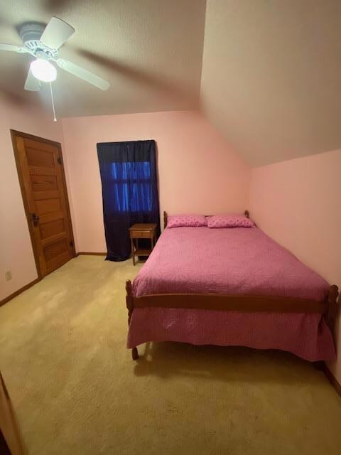 305 4th St SW, Pine Island, MN 55963 - photo 6