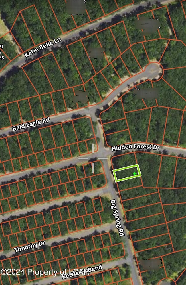 HF3 430 Big Spring Rd, East Union Township, PA 18202 - photo 4