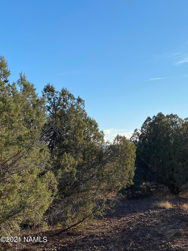 1025 Joseph Dr unit 158, Ash Fork, AZ 86320 - photo 6