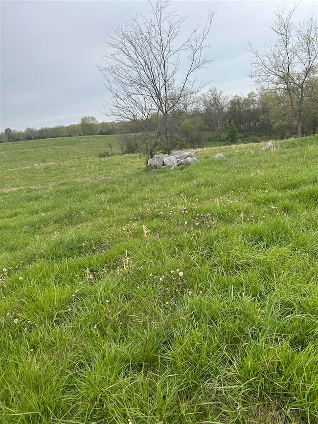 2700 Girkin Rd, Bowling Green, KY 42101 - photo 6