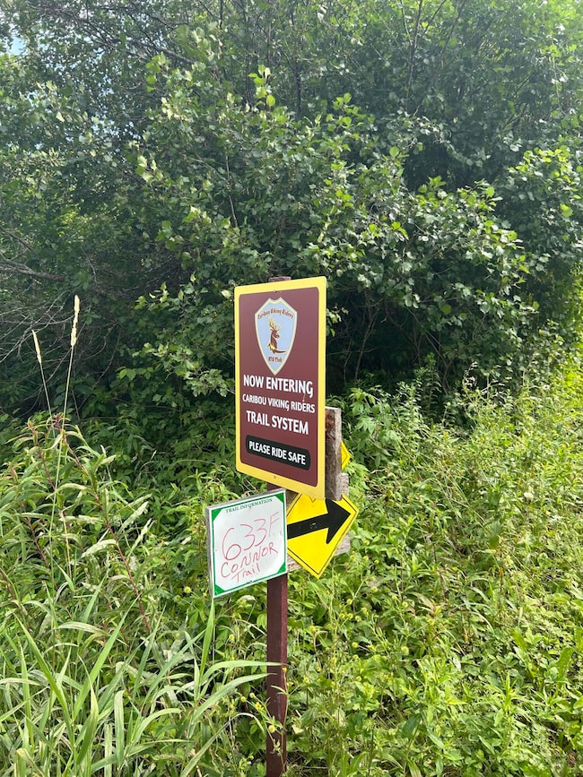 Lot 8 Dubay Pit Rd, Connor, ME 04736 - photo 4