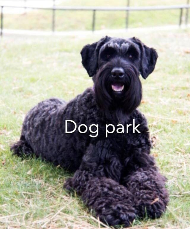 62 Westmoreland Ct unit Lot 176, Howard Township, OH 43028 - photo 7