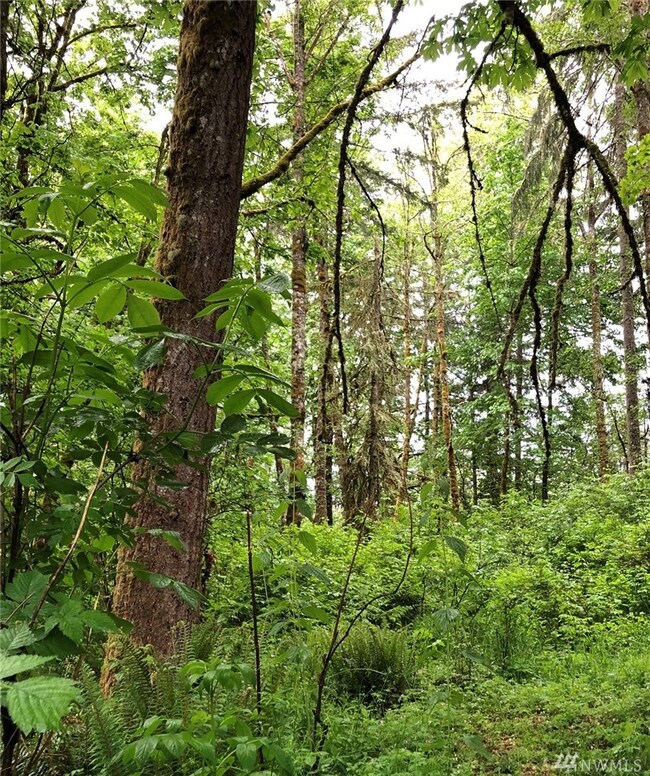 0 Orville Rd E unit 1602213, Orting, WA 98360 - photo 5