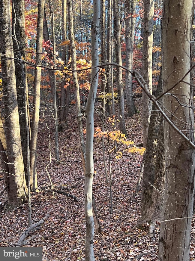 0 Timberline Ridge Rd unit VAWR2012716, Front Royal, VA 22630 - photo 5