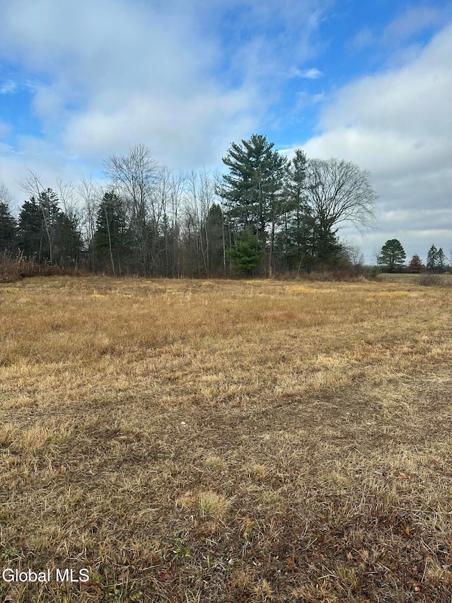 Lot 36.1 New York 9h, Ghent, NY 12075 - photo 3