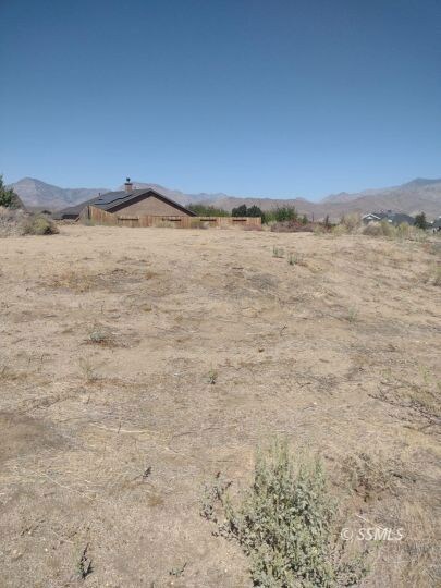 Toward back of lot to the north