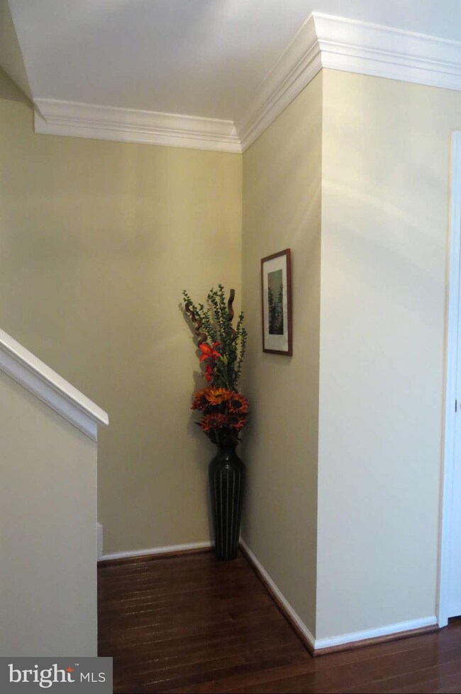 7231 Brookfalls Terrace, Baltimore, MD 21209 - photo 7