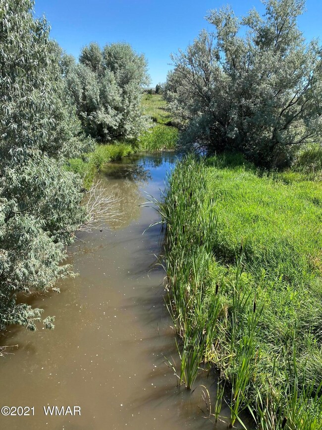 Little Colorado River