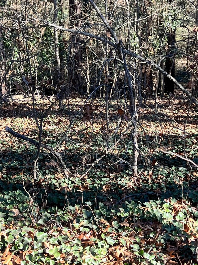 0 NE Highland Cir NE unit RTC2712440, Rome, GA 30161 - photo 3