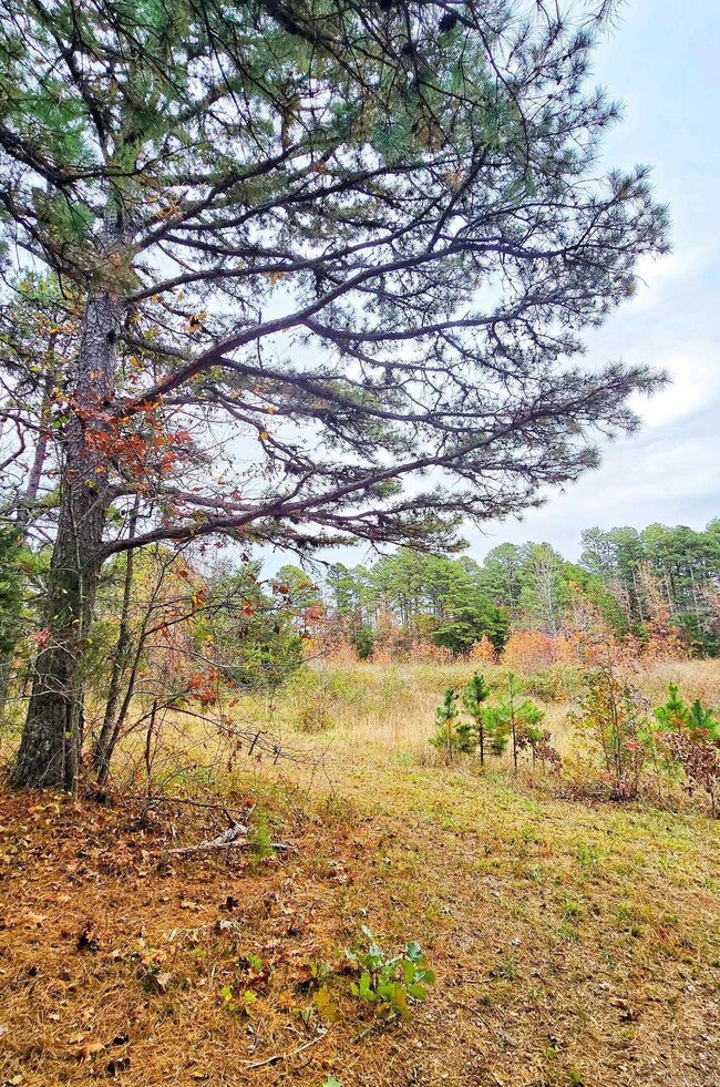 000 Elba Rd, Clinton, AR 72031 - photo 6