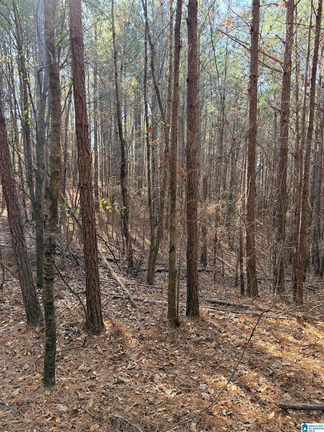 9400 Bradford Trafford Rd, Warrior, AL 35180 - photo 7