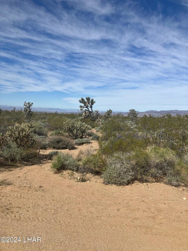 Pic1