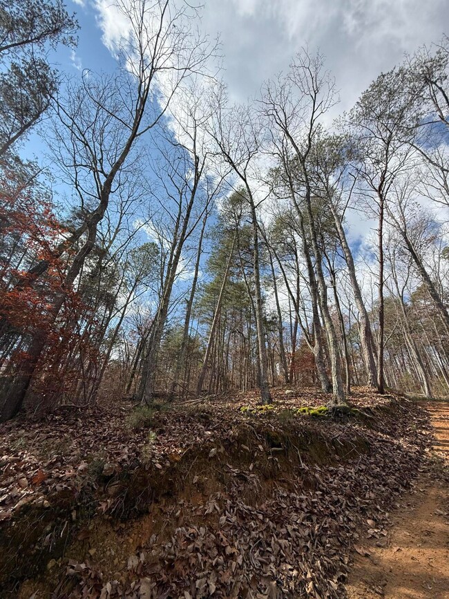 Lot 1 Parksville Rd, Benton, TN 37307 - photo 2