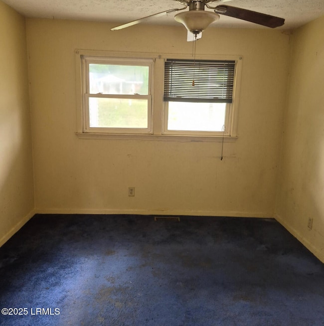 20868 Solomon Blatt Ave, Blackville, SC 29817 - photo 4