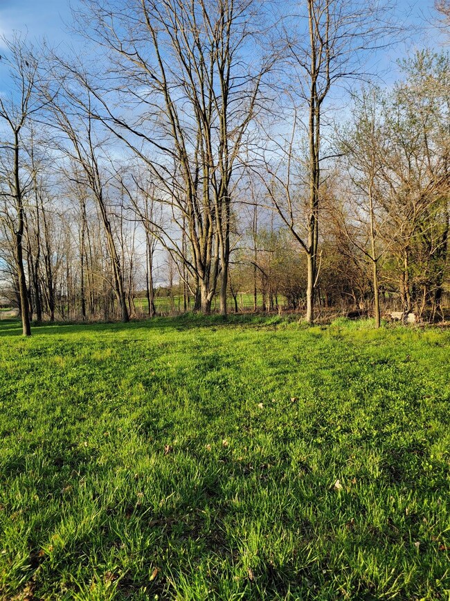 0 Gross Rd unit 23036662, Lima Township, MI 48130 - photo 2