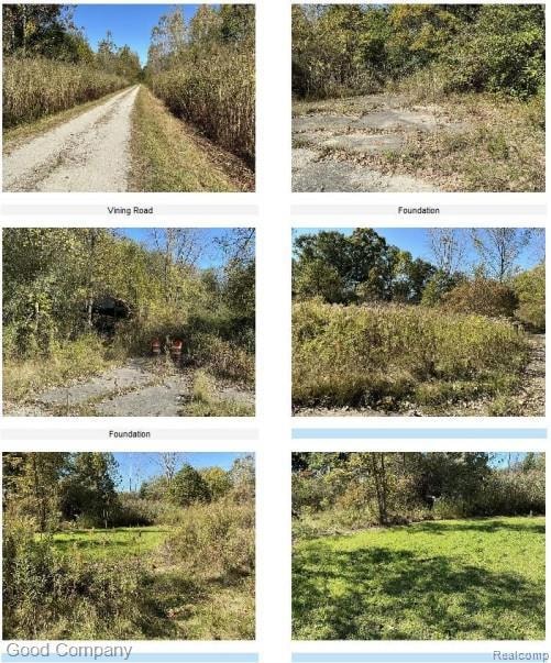 16295 Vining Rd, Romulus, MI 48174 - photo 3