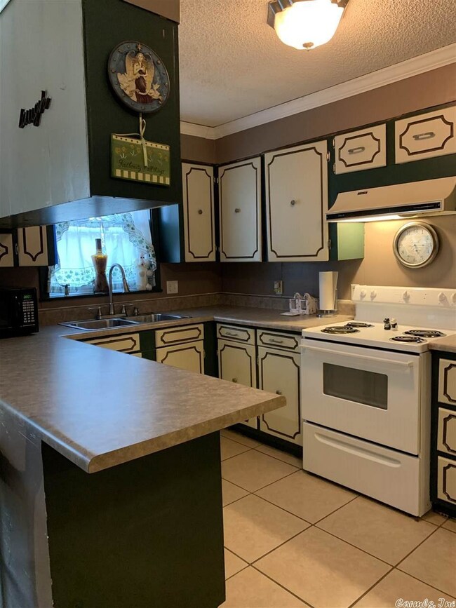 10 Peter Creek Pass, Tumbling Shoals, AR 72581 - photo 4