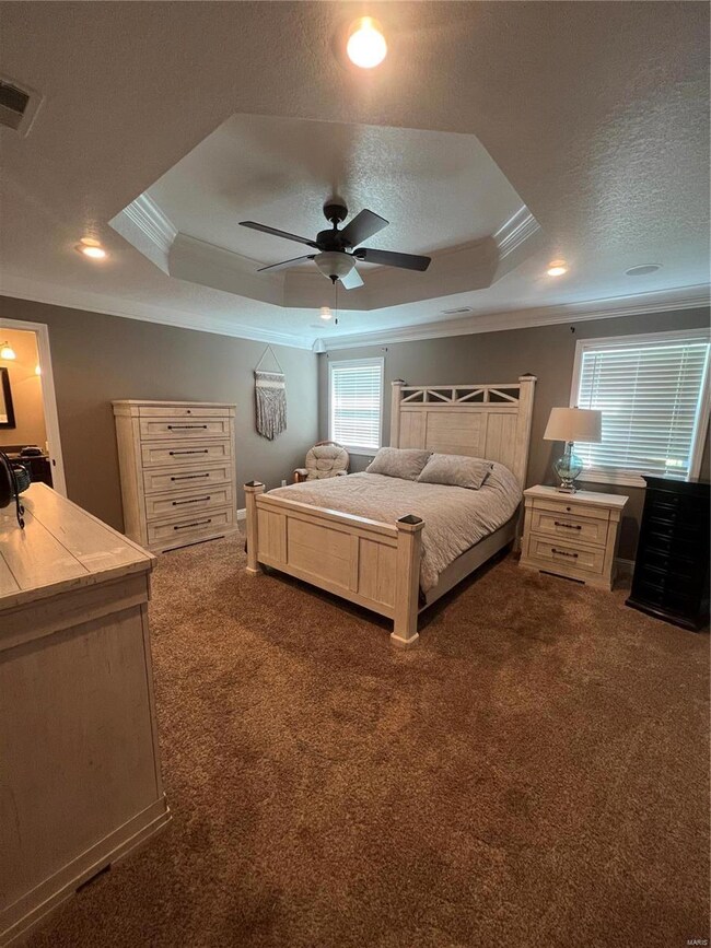 233 Century, Poplar Bluff, MO 63901 - photo 6