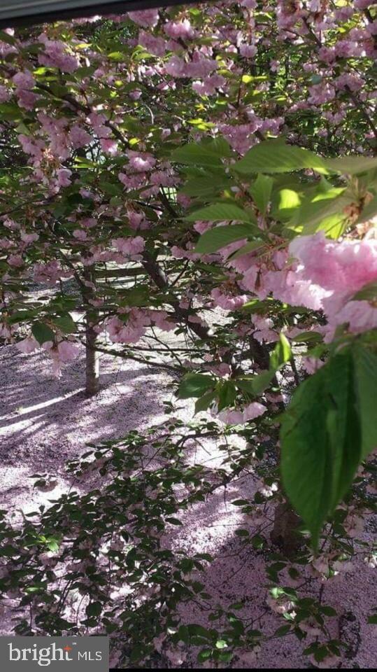 14320 Climbing Rose Way unit 201, Centreville, VA 20121 - photo 6