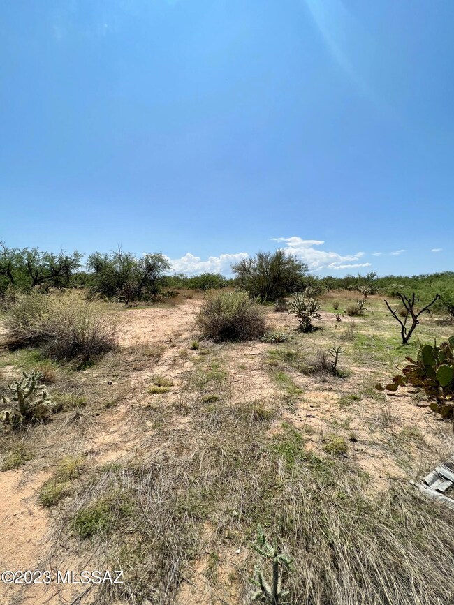 Some cleared areas